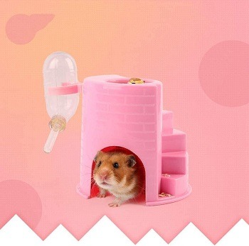 JPSOUP Plastic Hamster House Review