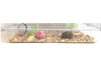 Mcage Hamster House Review