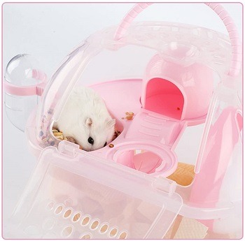 Megawa Portable Hamster Enclosure  Review