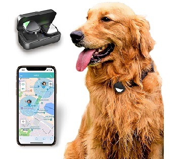 PetFone GPS Dog Tracker