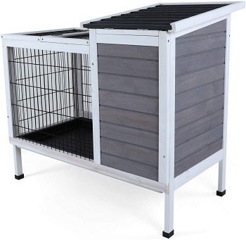 Petsfit Cage For Rats Review