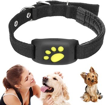 Ruimingt Pet Collar GPS Review