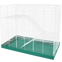 Ware Rat Cage Summary