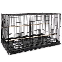 Best 6 Rat Breeding Cages For Sale - Reviewed By Expert