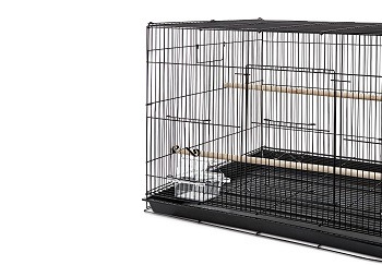 4 Best Rat Breeding Cages In 2022 - Petovly