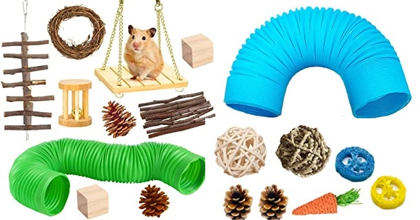 accessories for rats
