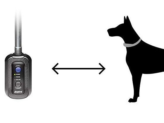 gps tracker for hunting dogs