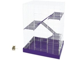 multi level rats cage