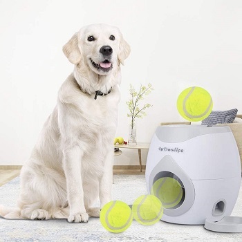 4Pawslife Automatic Dog Feeder