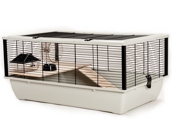 Aesthetic Hamster Cage