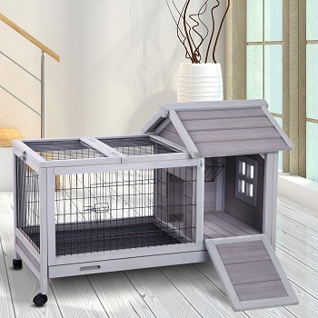 Aivituvin Wooden Small Animal Hutch Review