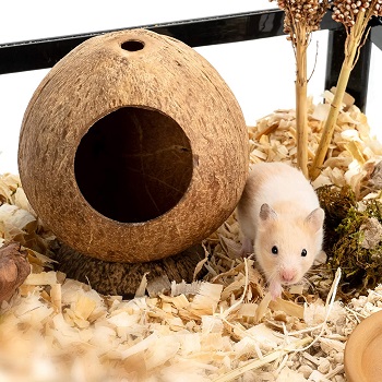 Andwe Coconut Hut Hamster House