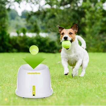 Automatic Dog Ball Launcher