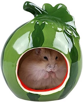 Gutongyuan Small Hamster House Review