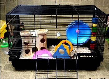 Hamiledyi Cute Hamster Home Review