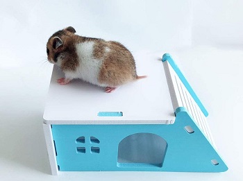 Hamiledyi Wooden Hamster Hideout Review