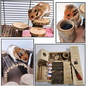 Hamiledyi Large Hamster Playground