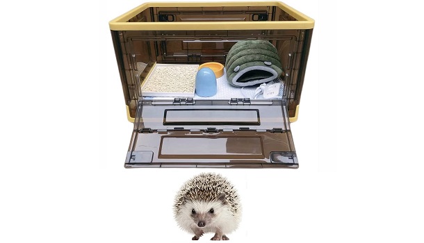 Hedgehog and plastic cage