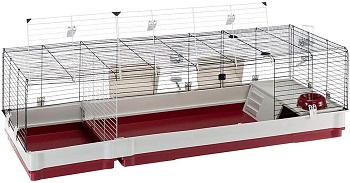 Krolik Cage