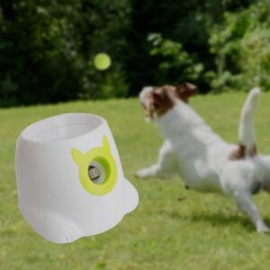 DIY Homemade Dog Tennis Ball Launcher & Throwing Machines