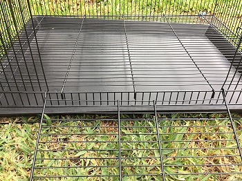 Mcage 3-Level Hamster Metal Cage Review