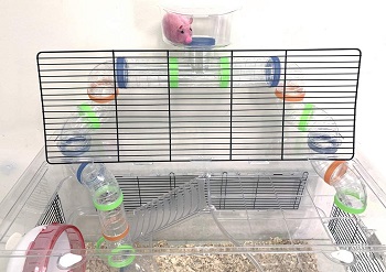 Mcage Transparent Dwarf Hamster Cage Review