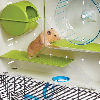 MidWest Tunnel Hamster Cage Review