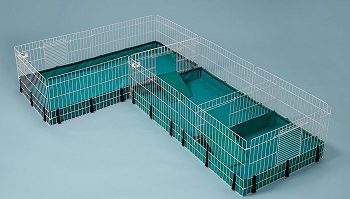 Best 6 Wire Guinea Pig Cages To Choose From In 2022 Reviews