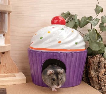 ceramic hamster hide