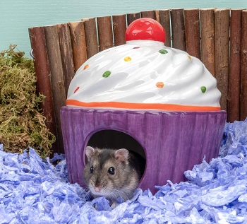 ceramic hamster hide