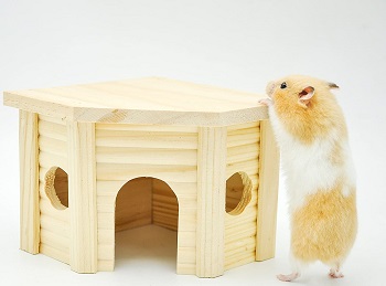 Niteangel Cute Hamster House