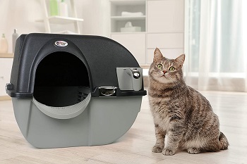 Omega Paw Roll n Clean Litter Box Review