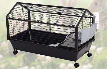 Best 6 Wire Guinea Pig Cages To Choose From In 2022 Reviews