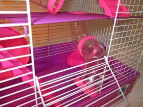 View of Best 6 Fancy Hamster Cages You Can Choose In 2022 Reviews