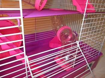 Penthouse Pink Cage For Hamsters