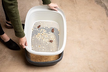 Pet Mate Arm Sifting Litter Pan