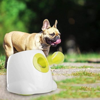 Pet Prime Automatic Ball Launcher