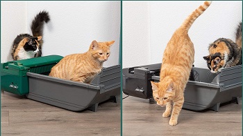 Pet Zone Smart Scoop Automatic Litter Box Review