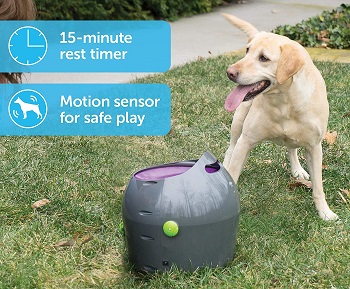 PetSafe Automatic Dog Toy Ball Launcher