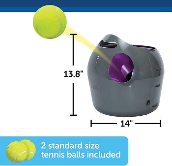PetSafe Automatic Dog Toy Ball Launcher Review