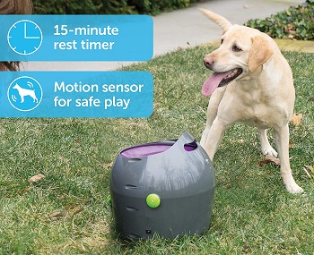 PetSafe Automatic Dog Toy Ball Launcher