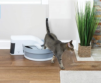 PetSafe Simply Clean Litter Box