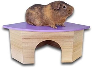 Best 6 Wood Guinea Pig Houses & Hideaways To Buy Reviews - Wood Guinea Pig Demography