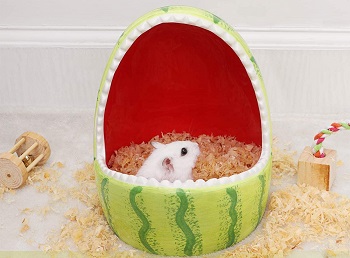 PopetPop Hamster Ceramic Hideout