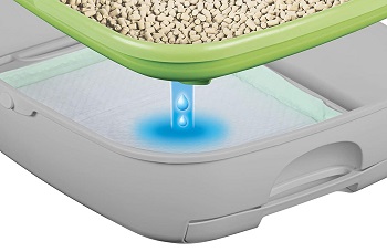 Purina Tidy Cats Hooded Litter Box System Review