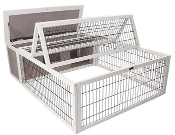 Best 6 Wire Guinea Pig Cages To Choose From In 2022 Reviews