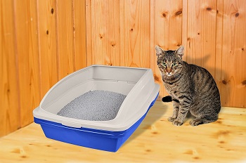 Van Ness CP5 Sifting Cat Pan