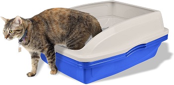 Van Ness CP5 Sifting Cat Pan Review