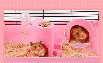 Yueunishi Pink Castle Hamster Cage Tower Review