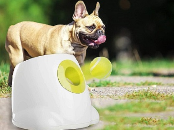 auto-ball-thrower-for-dogs
